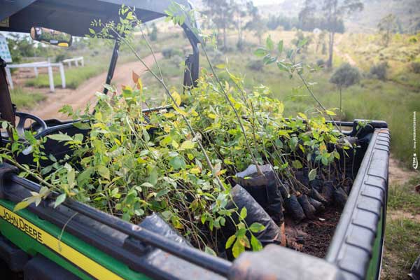 La STAR, un acteur engagé