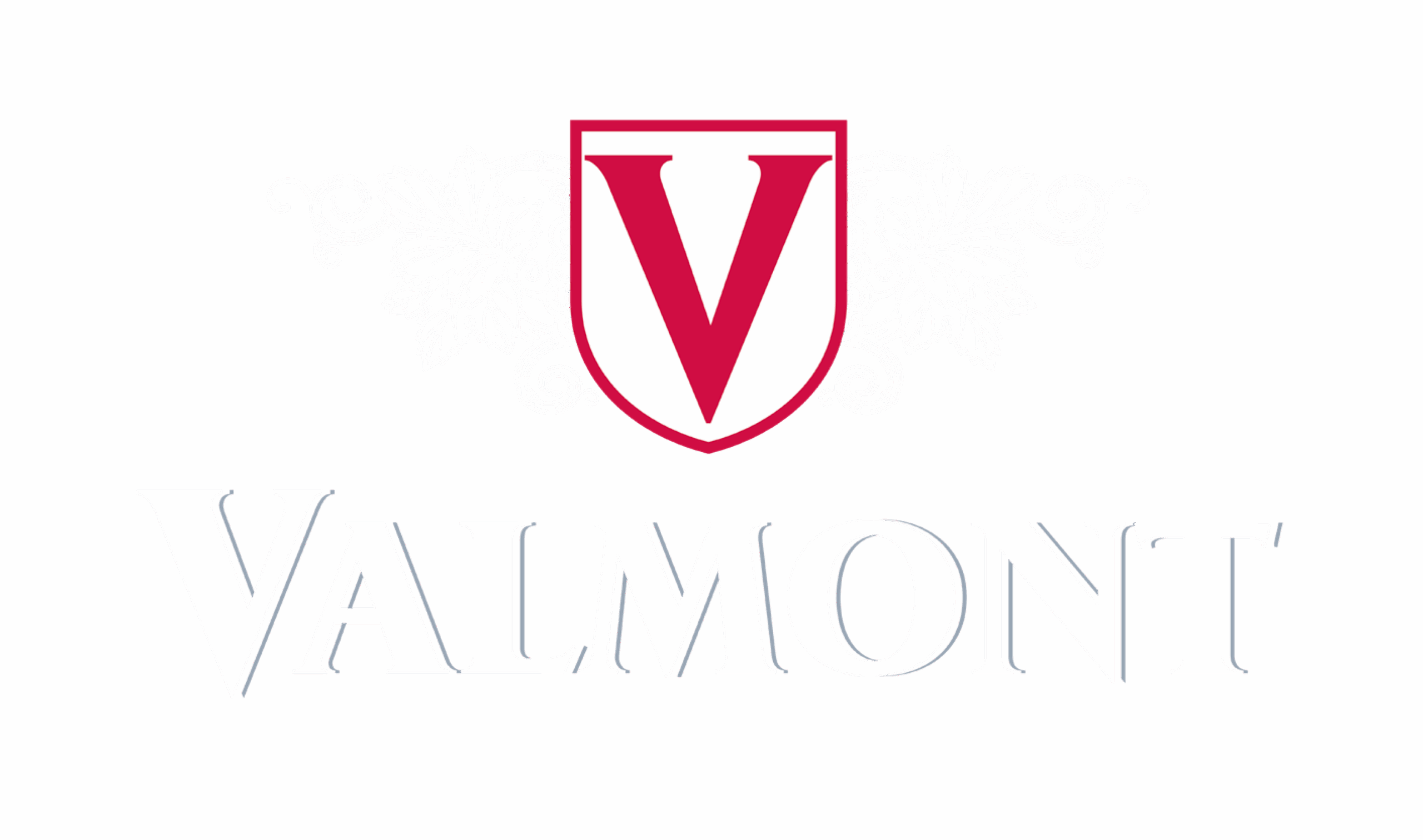 Logo Valmont