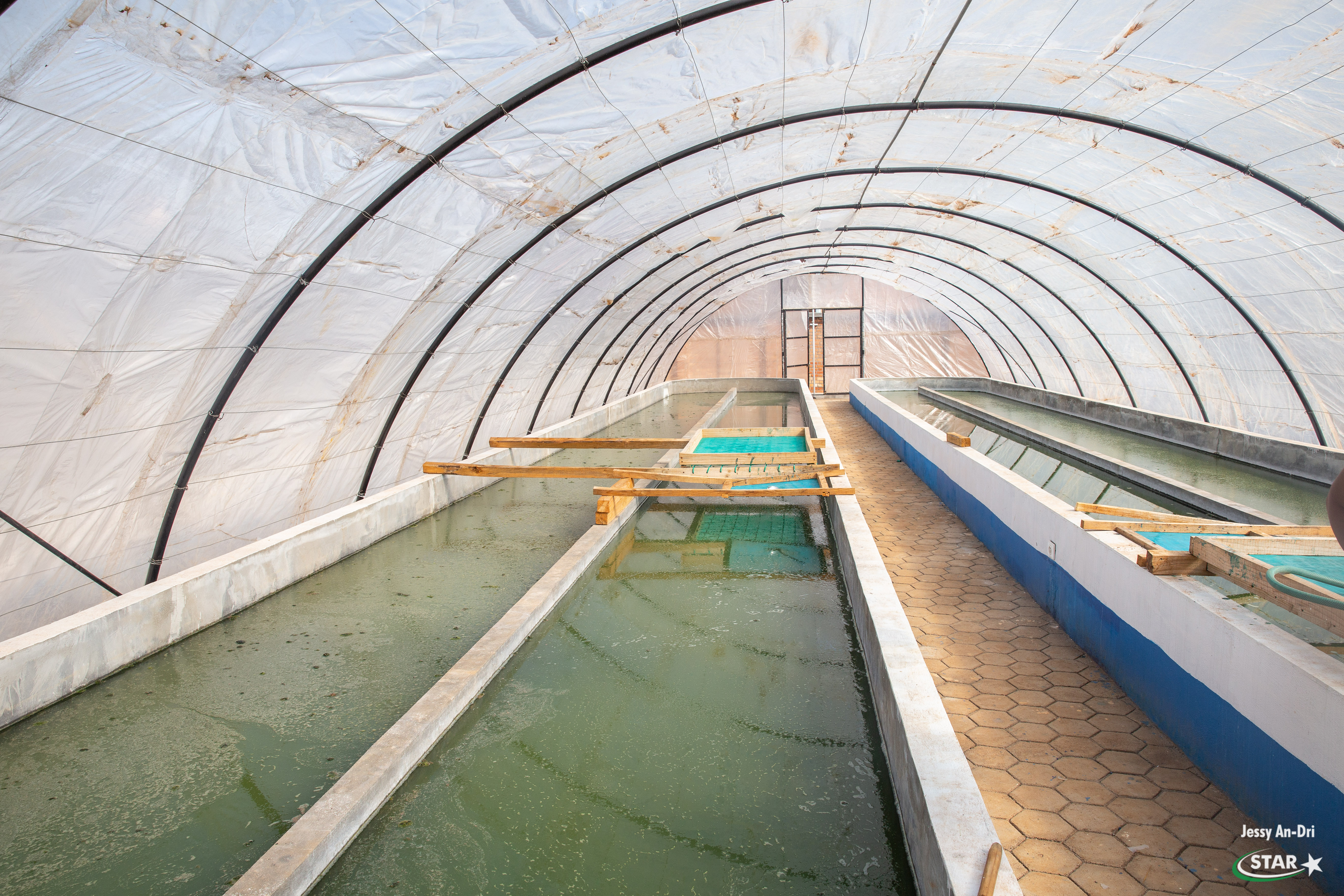 Travaux d’extension de la ferme de spiruline au centre Fanantenana Antsirabe