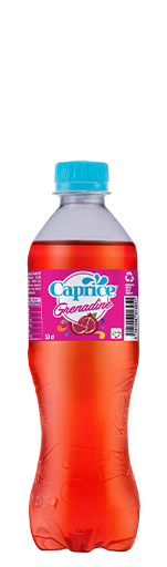 STAR Madagascar on X: Bonbon Anglais, Grenadine, Soda Orange et Jet Tonic  forment désormais une seule famille, la famille #CAPRICE #STAR   / X