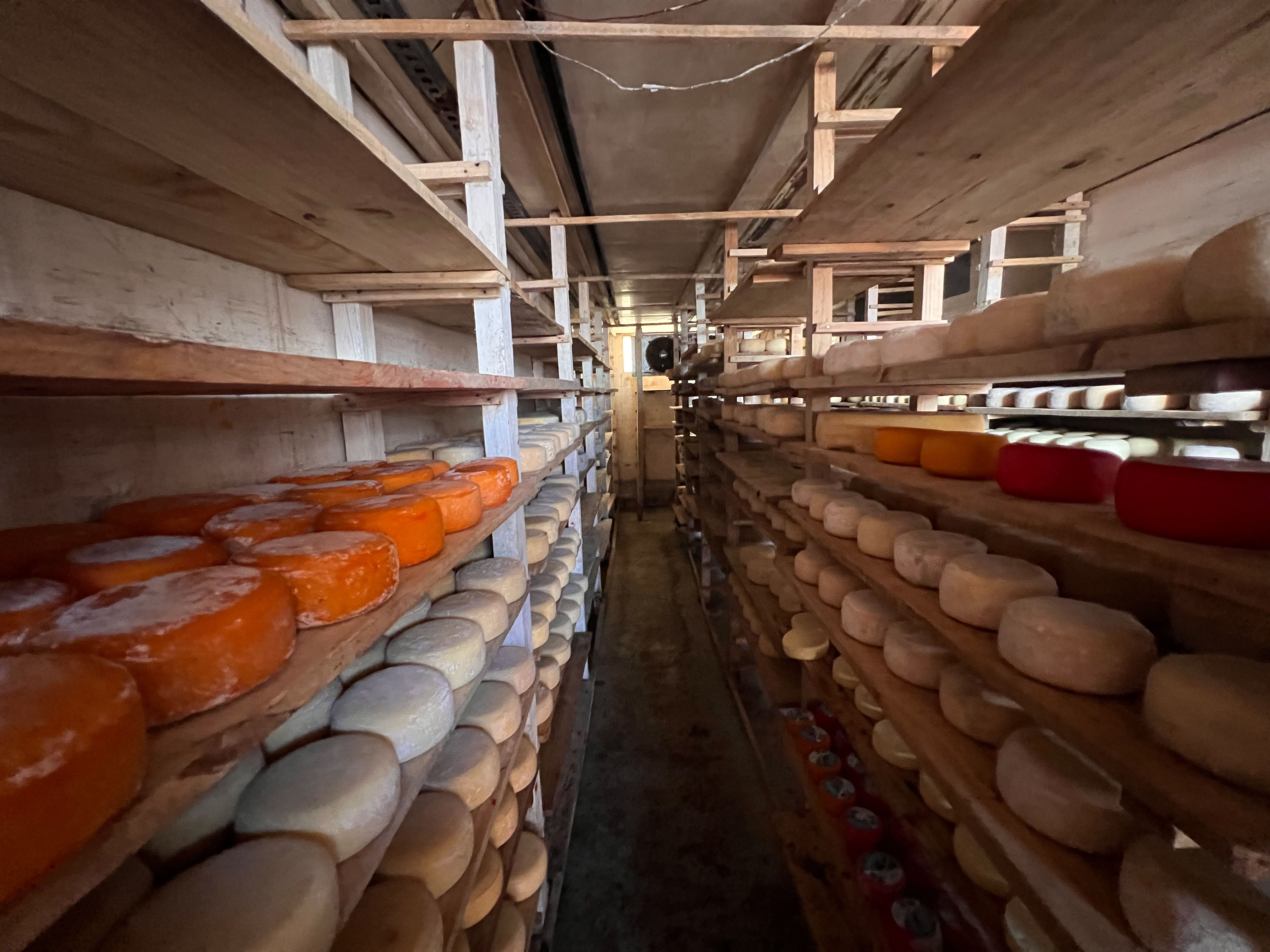 Visite de l'équipe du Fonds Pierre Castel