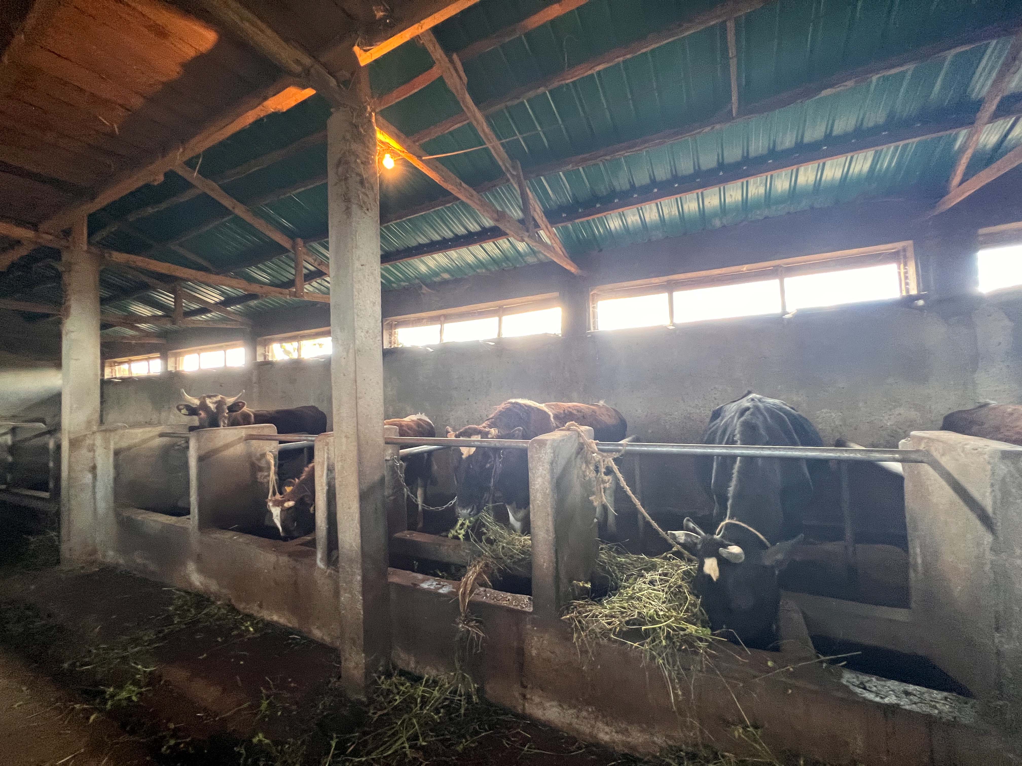 Visite de l'équipe du Fonds Pierre Castel