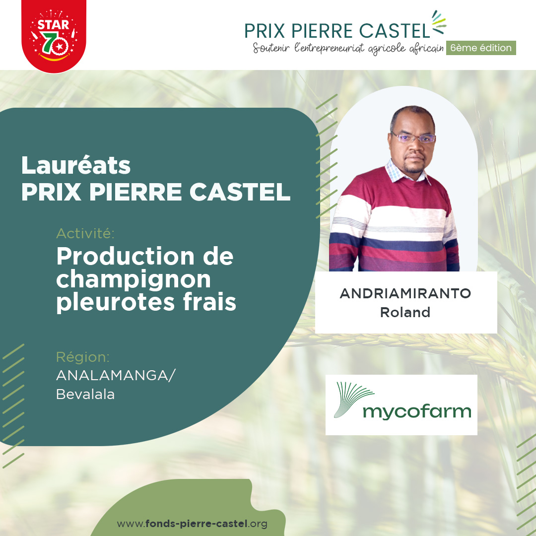 Lauréats Prix Pierre Castel 2023