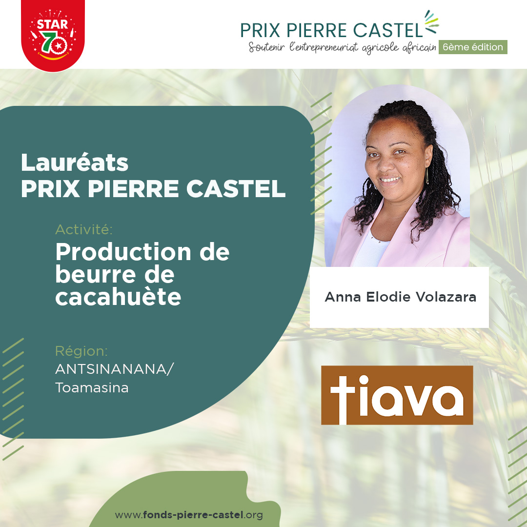 Lauréats Prix Pierre Castel 2023